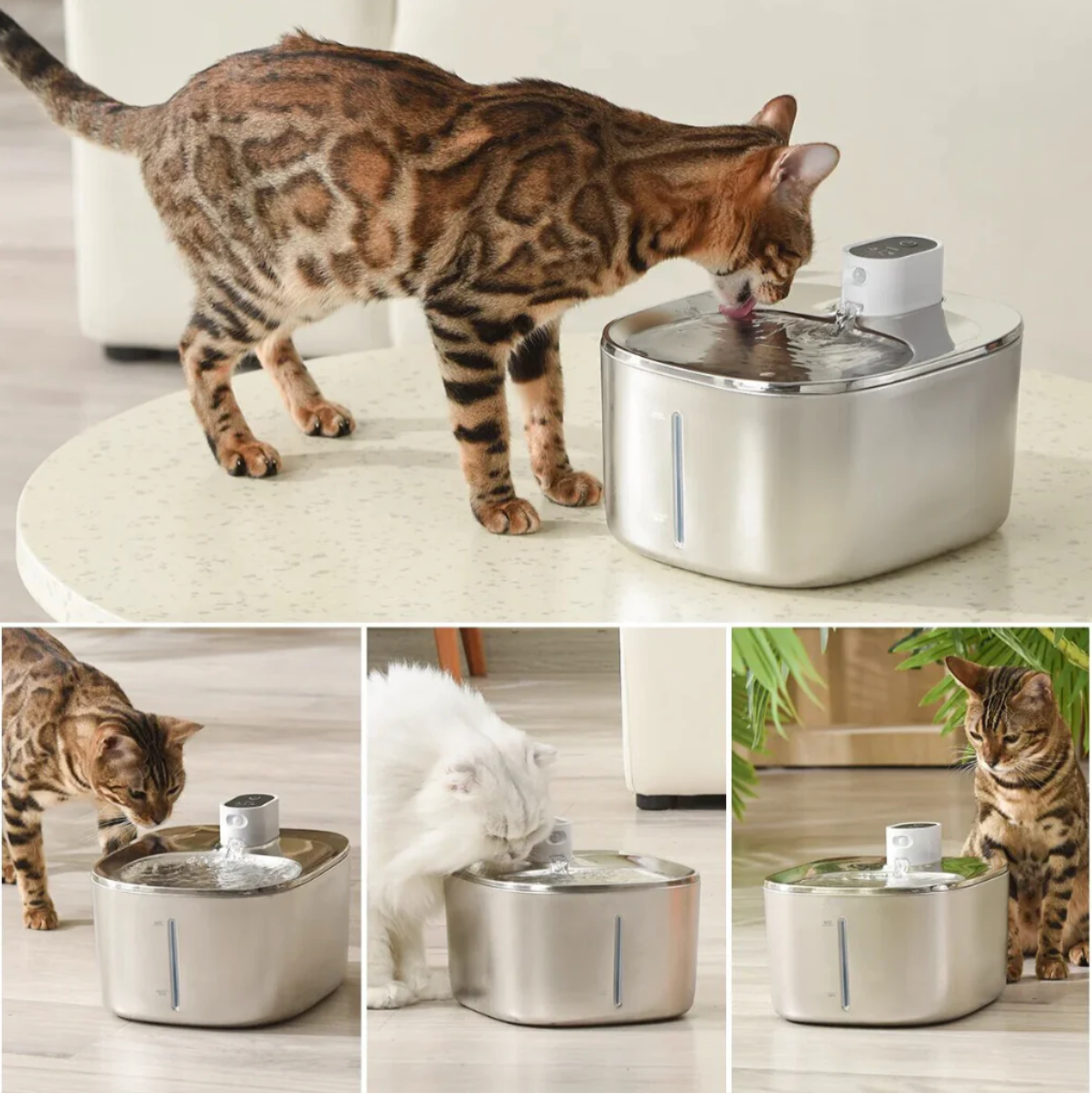 Katzenquell ProLine - Der intelligente Luxusbrunnen