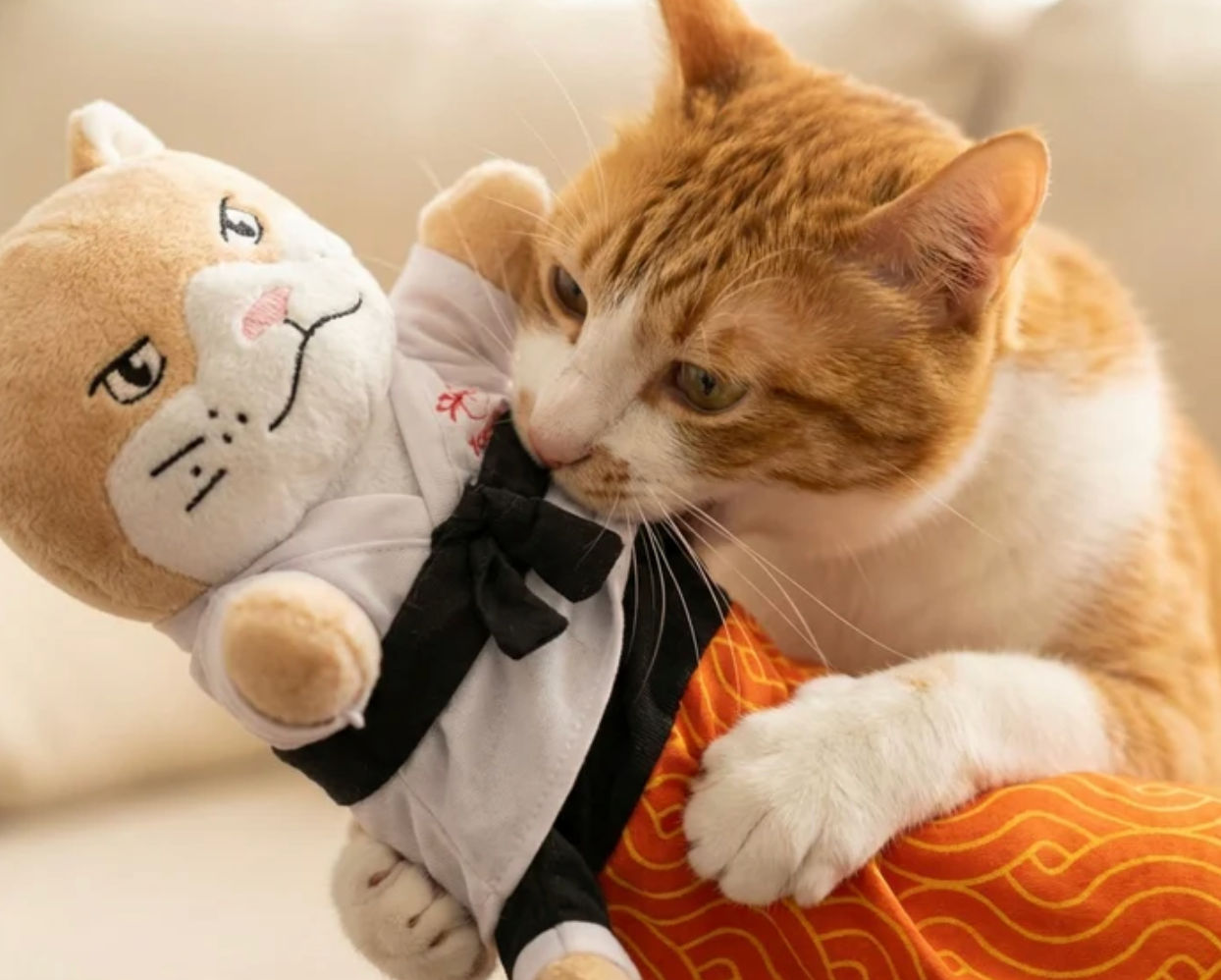 Jagdpfote Pro - Interaktiver Katzen-Spielhandschuh