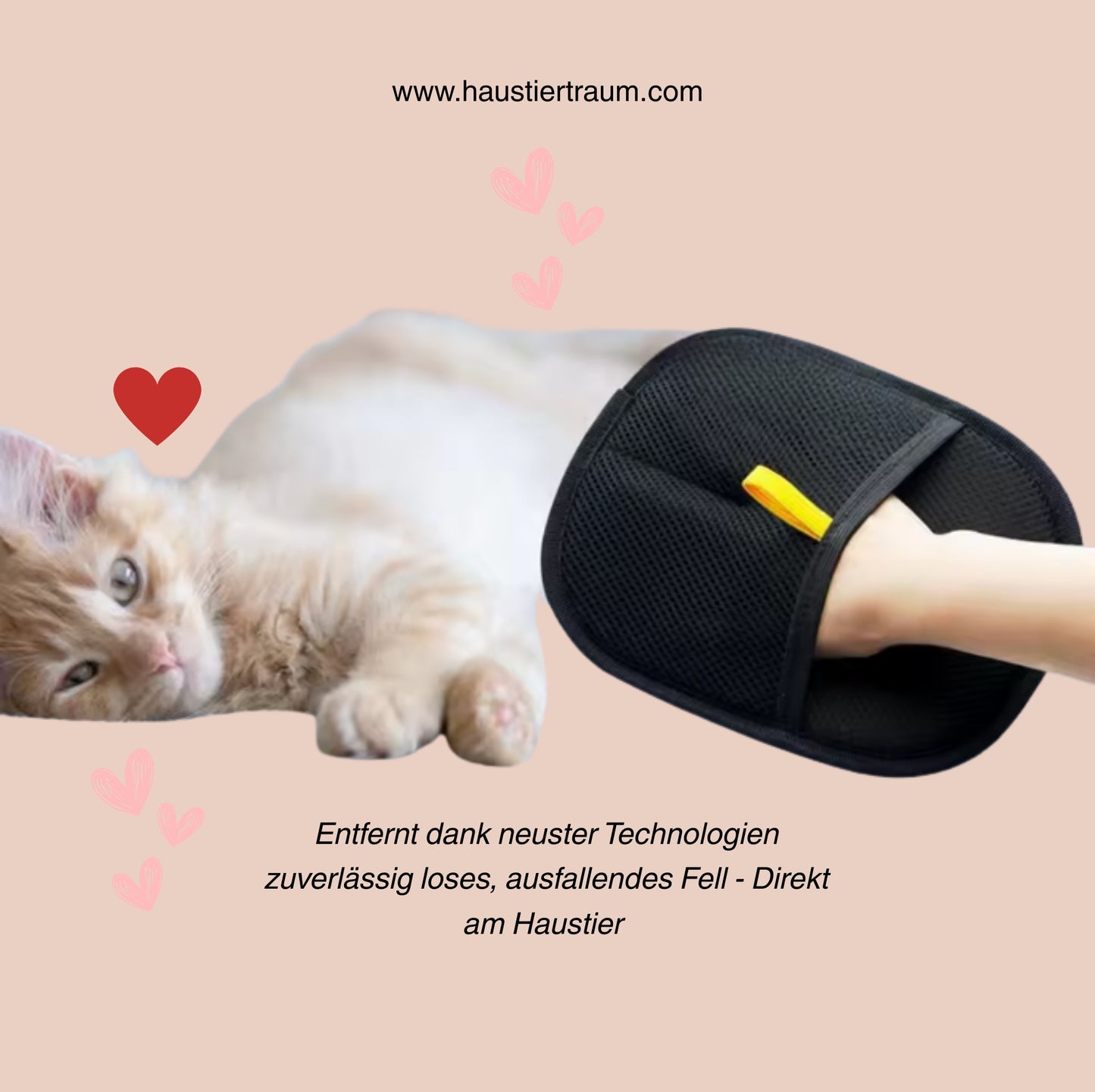 FellWeg-Handschuh