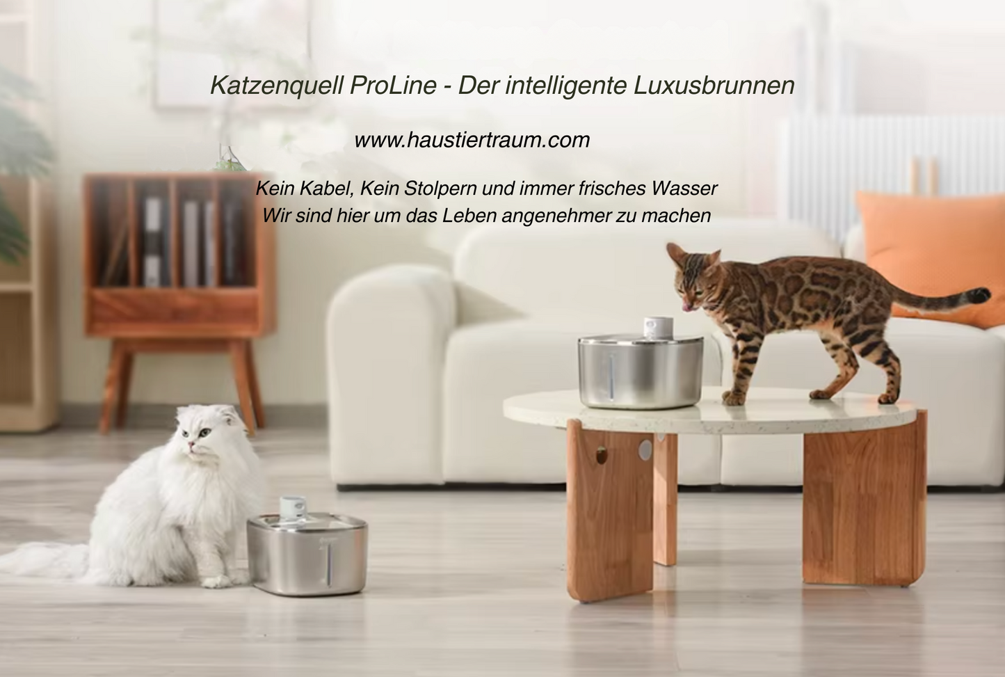 Katzenquell ProLine - Der intelligente Luxusbrunnen
