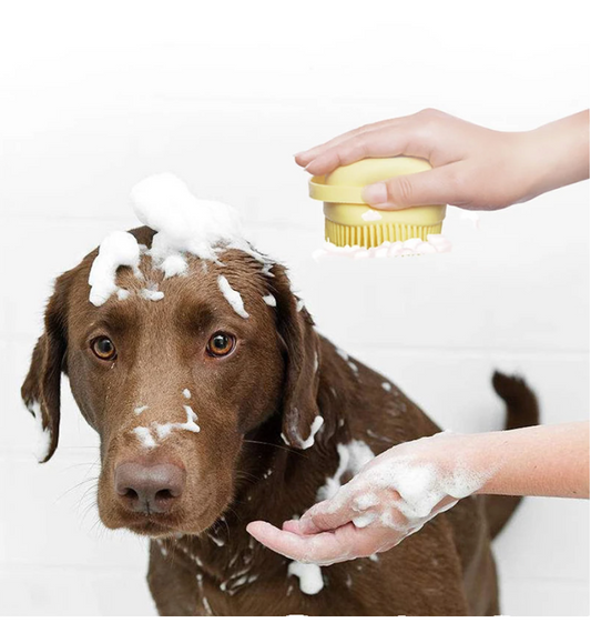 Massagebürste - Badebürste mit Shampoospender
