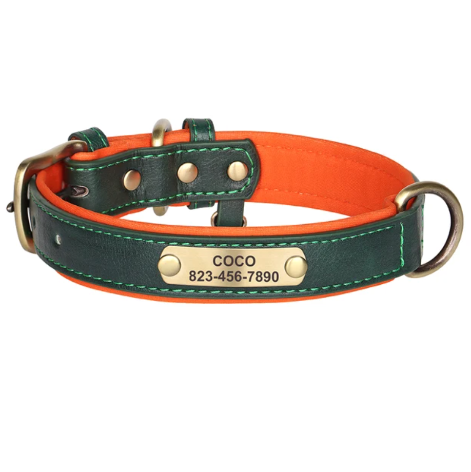 Hundehalsband personalisierbar