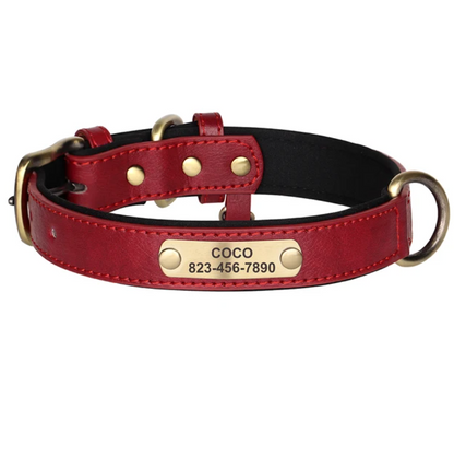 Hundehalsband personalisierbar