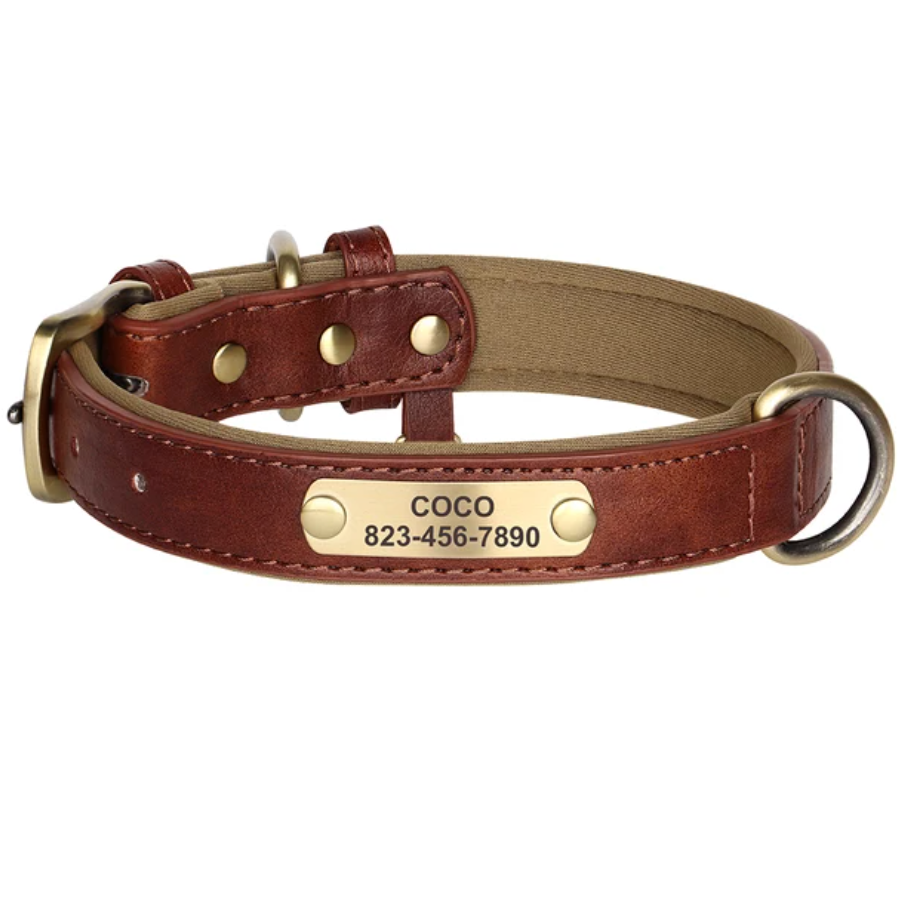 Hundehalsband personalisierbar