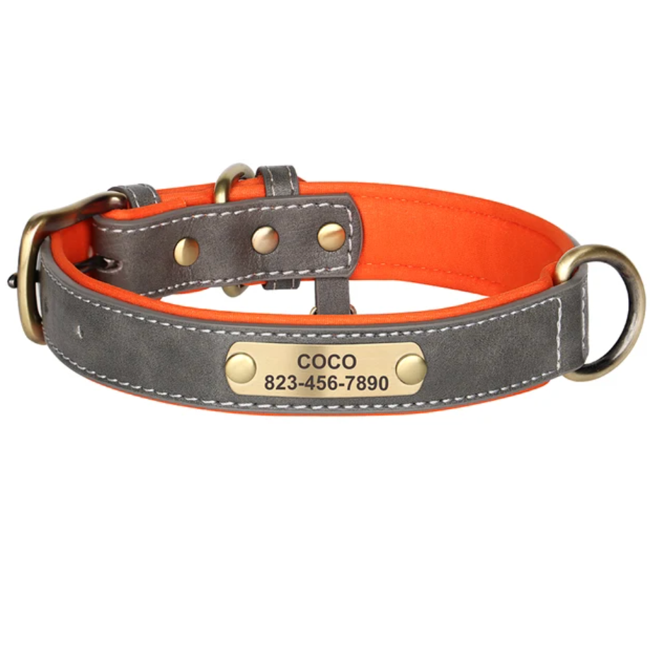 Hundehalsband personalisierbar