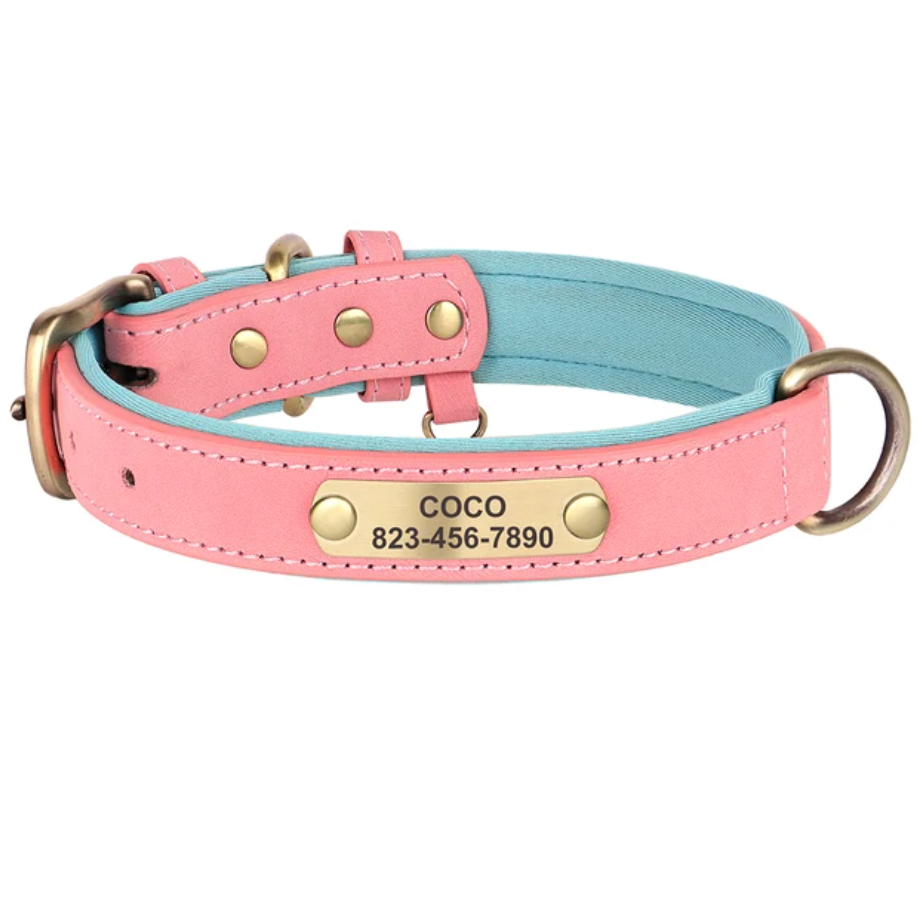 Hundehalsband personalisierbar