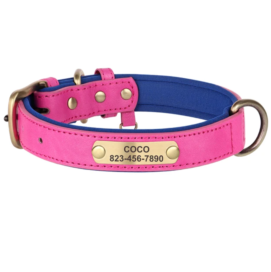 Hundehalsband personalisierbar