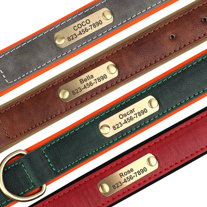 Hundehalsband personalisierbar