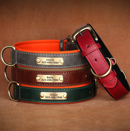 Hundehalsband personalisierbar