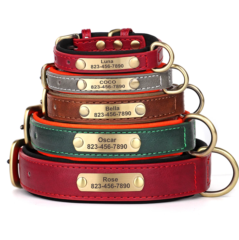 Hundehalsband personalisierbar