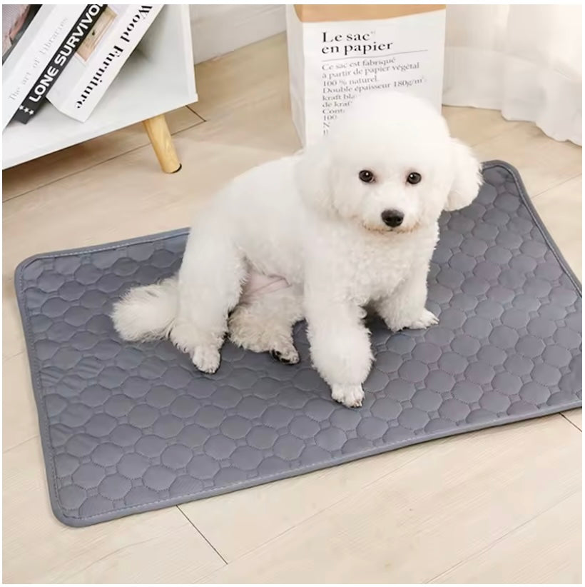 DryDog Komfortmatte - für Welpen & Senioren