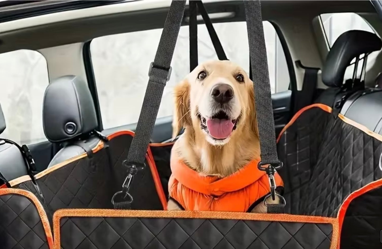 RideBuddy Schonbezug 🐾 - Wasserdicht & rutschfest