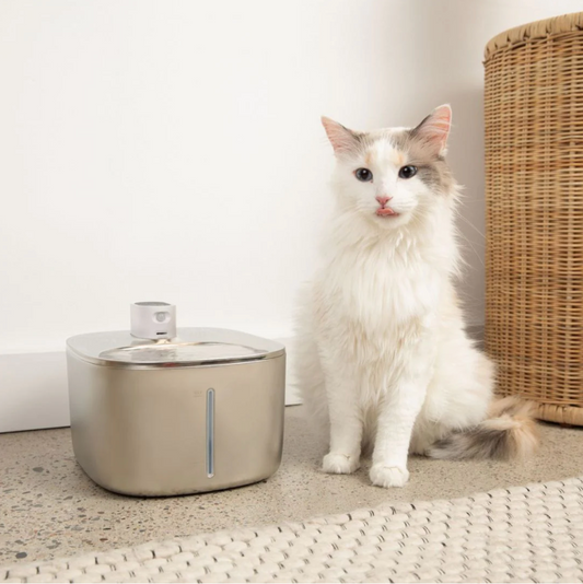 Katzenquell ProLine - Der intelligente Luxusbrunnen