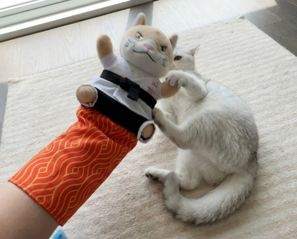 Jagdpfote Pro - Interaktiver Katzen-Spielhandschuh