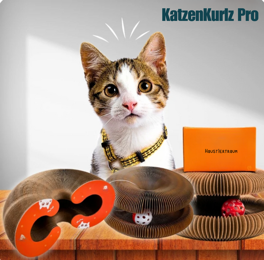 Katzenkurlz Pro - Interaktives Katzenspielzeug