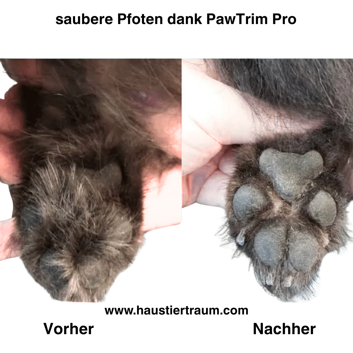 PawTrim Pro 🐾 - Präziser Pfotentrimmer für Hunde & Katzen