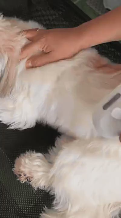 Video laden: 